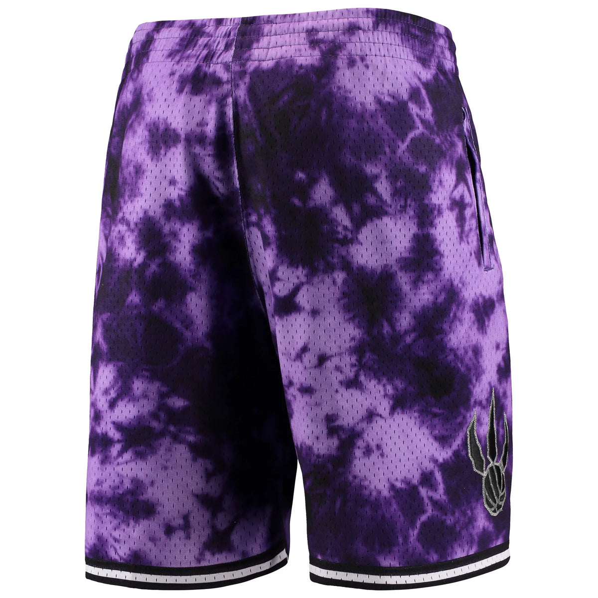 Men's Purple Toronto Raptors Shorts J321