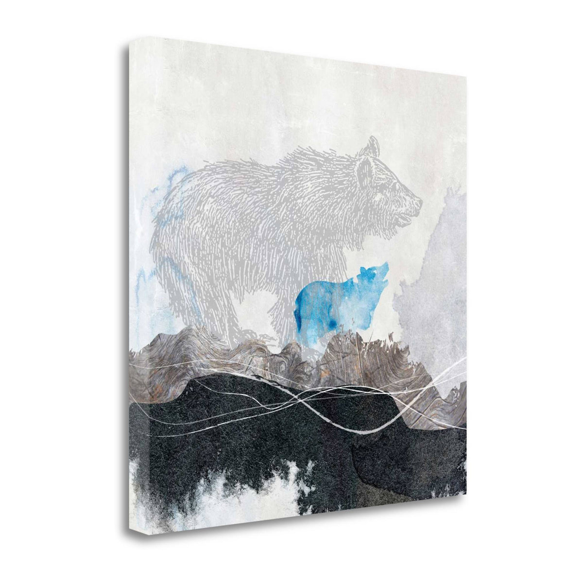 Bear Fine Art X4379