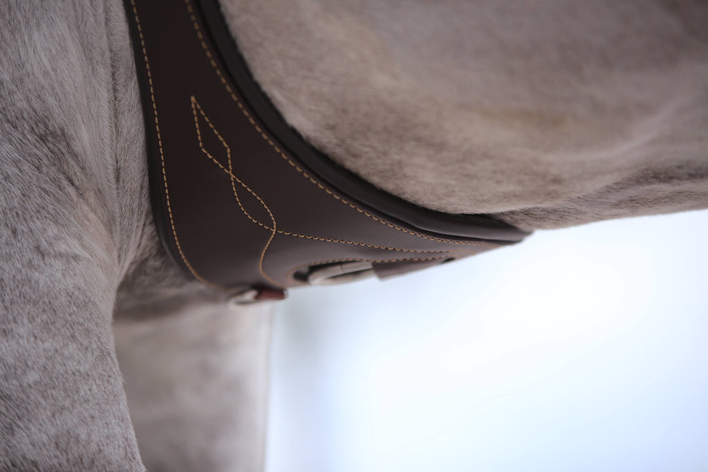 Anatomical Saddle Girth T672