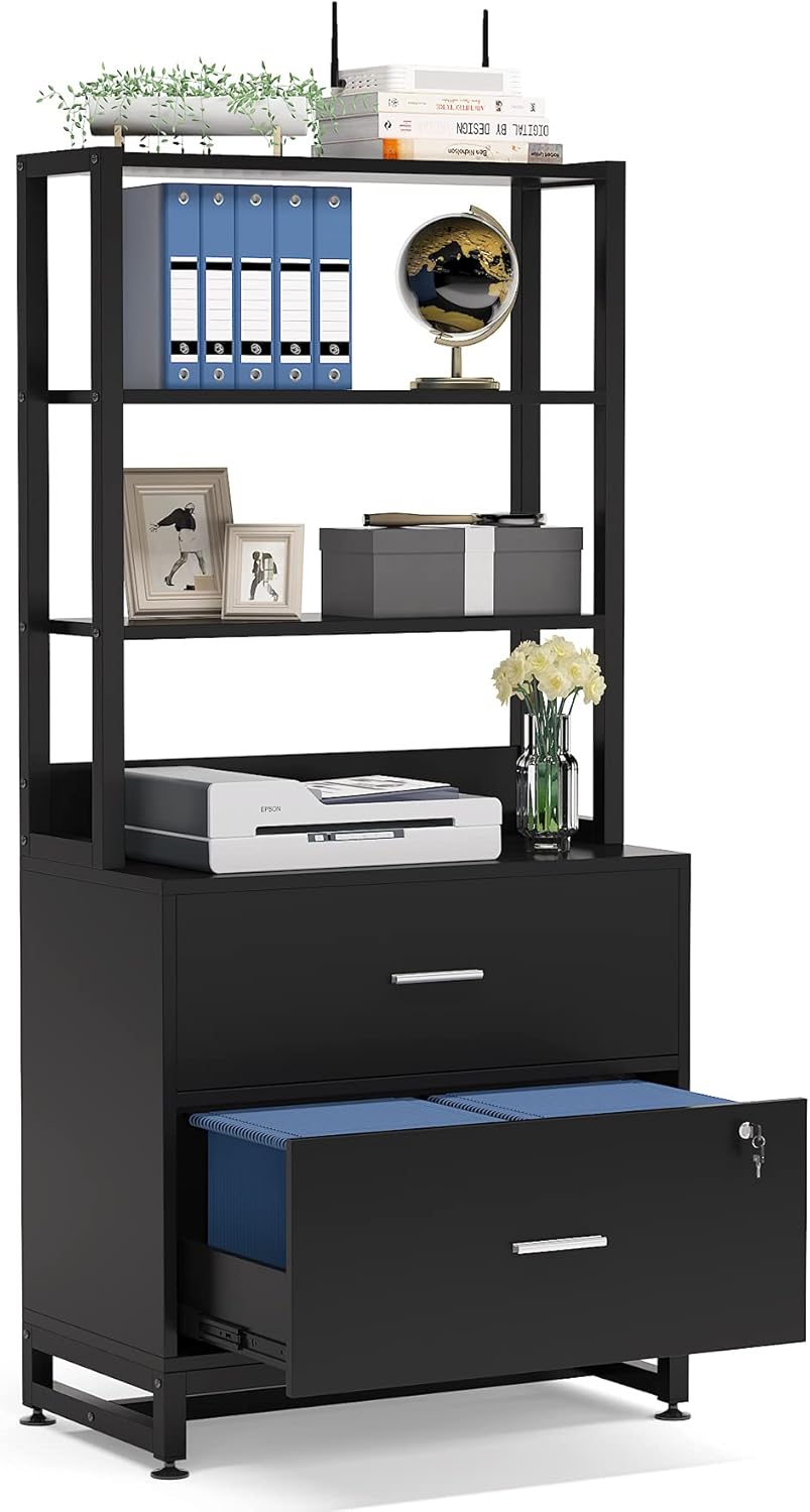 2 Drawer Black File Cabinet with Lock P91419