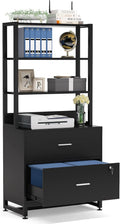 2 Drawer Black File Cabinet with Lock P91419
