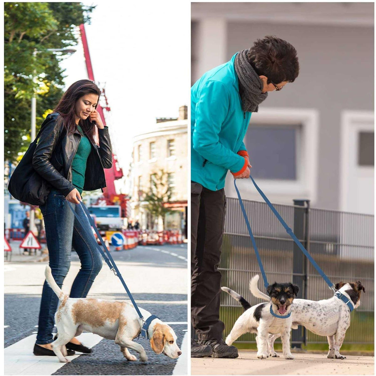 Waterproof Dog Leash with 2 Hooks D785
