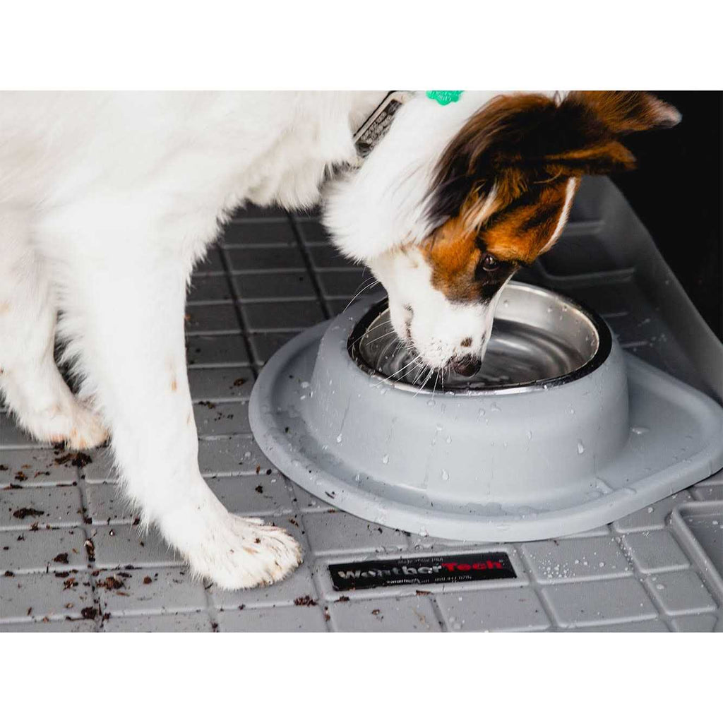 Double High Pet Feeding System A192474