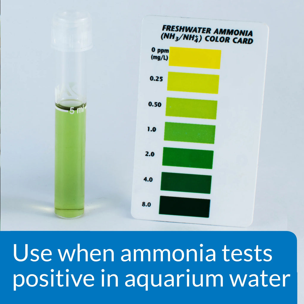 Freshwater And Saltwater Aquarium Ammonia Detoxifier, 16 oz W520