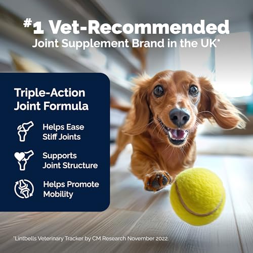 Glucosamine Hip & Joint Supplement for Dogs Y57500