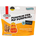Freeze-Dried Chicken Dog Treats G323