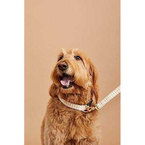 Gingham Dog Collar L749