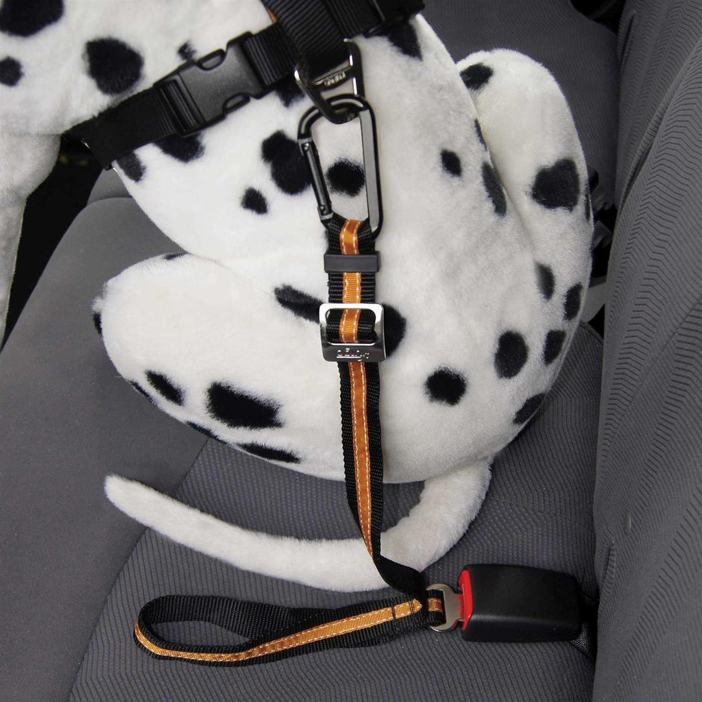 Pet Tether N387