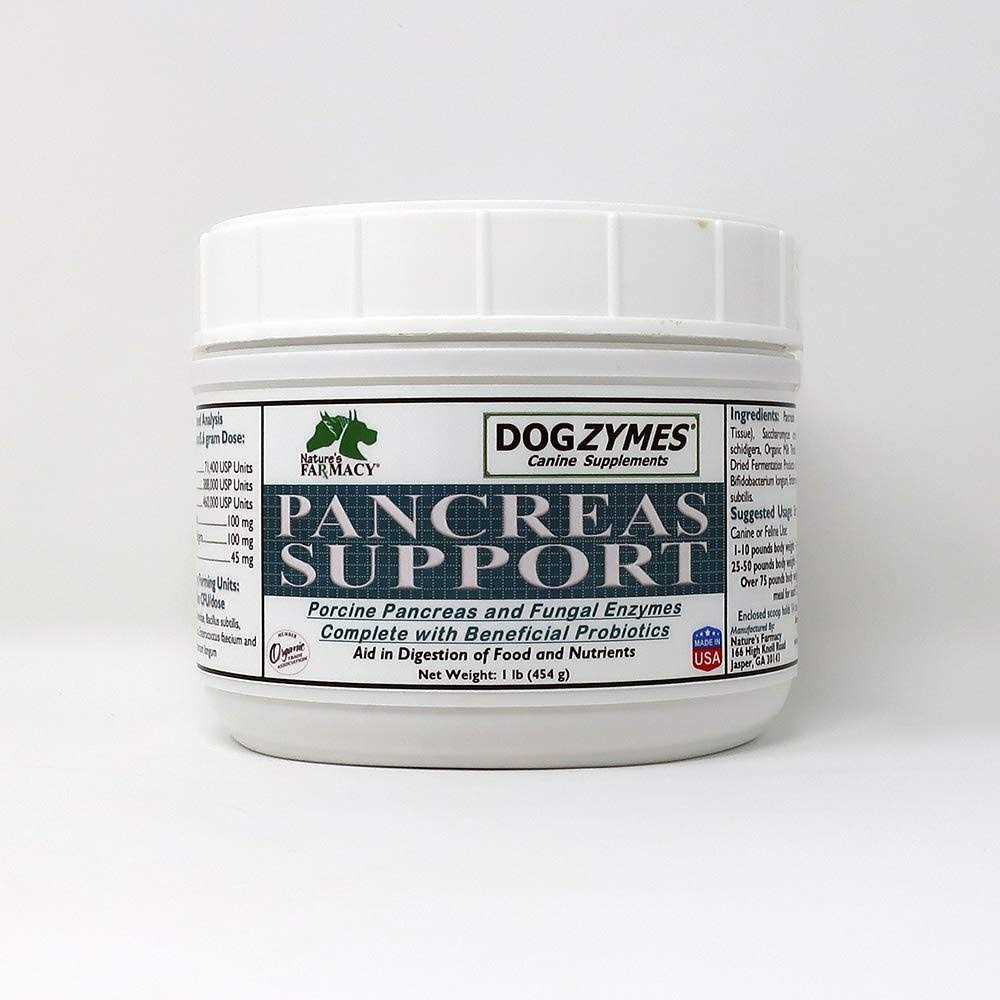 Pancreas Support Q425837