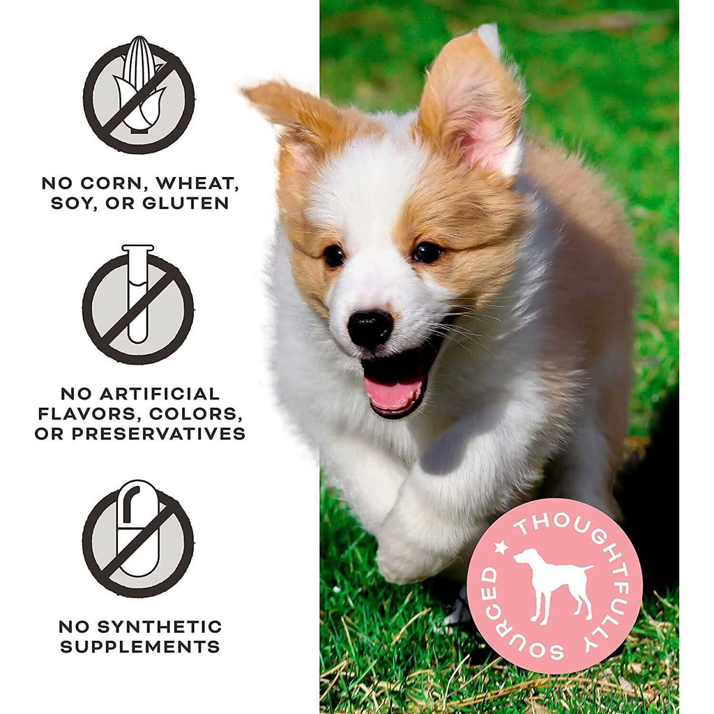 Freeze-Dried Chicken Dog Treats G323