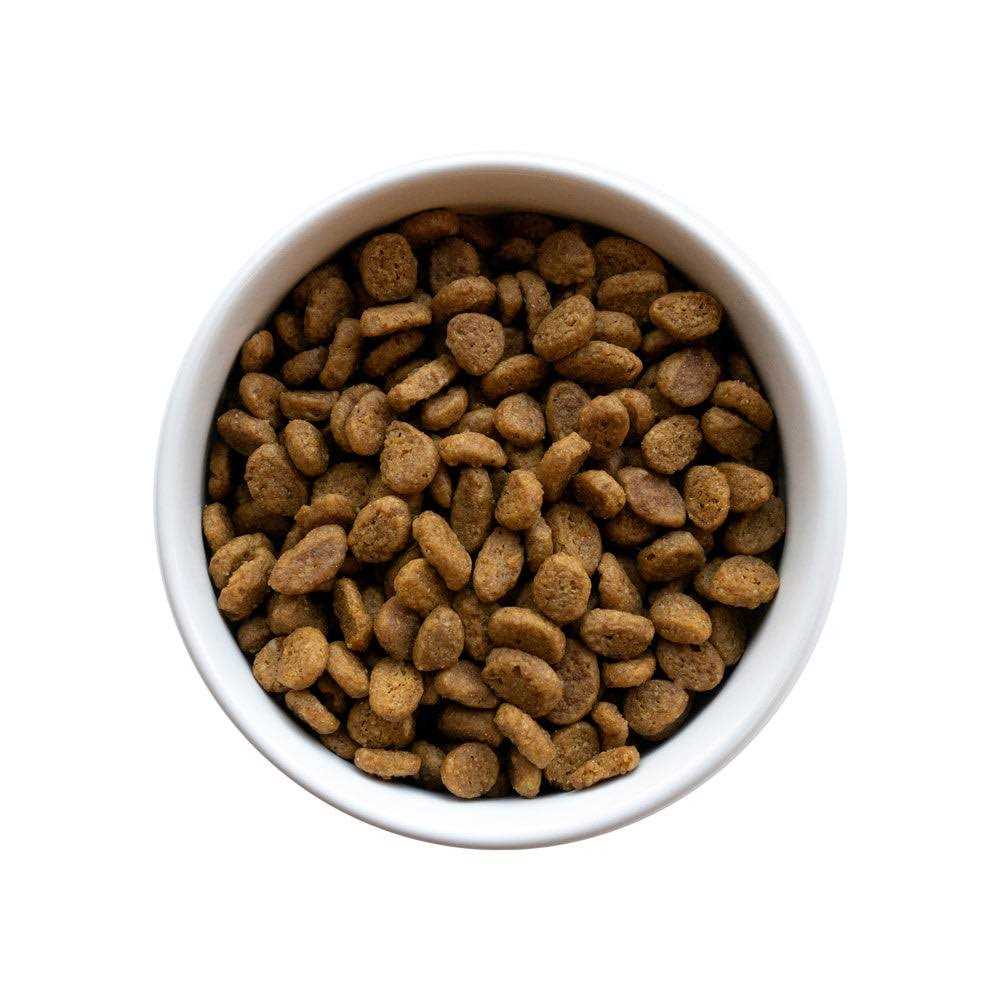 Senior Cat Food R864