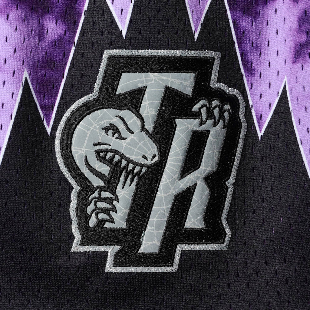 Men's Purple Toronto Raptors Shorts J321