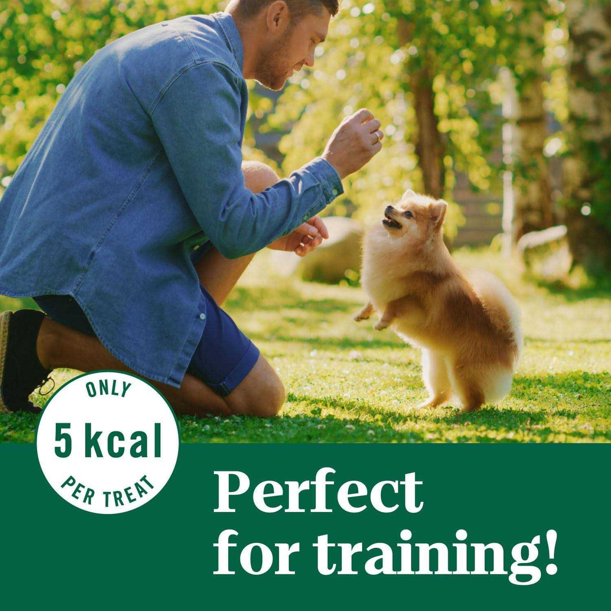 Crunchy Dog Treats O46957
