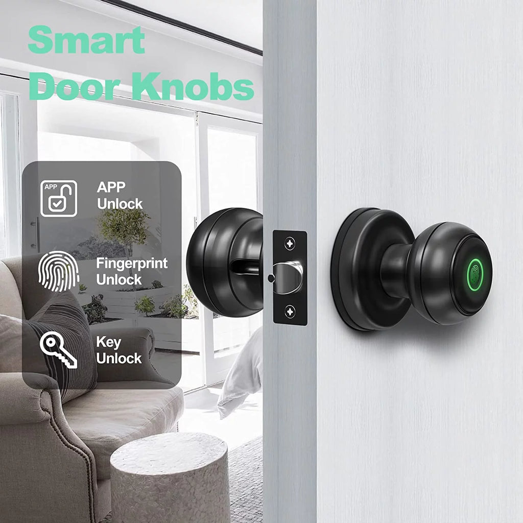 Smart Fingerprint Door Lock with App Control, Black Q743