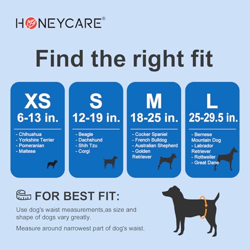 Male Dog Wrap, 50 Count, Small F680