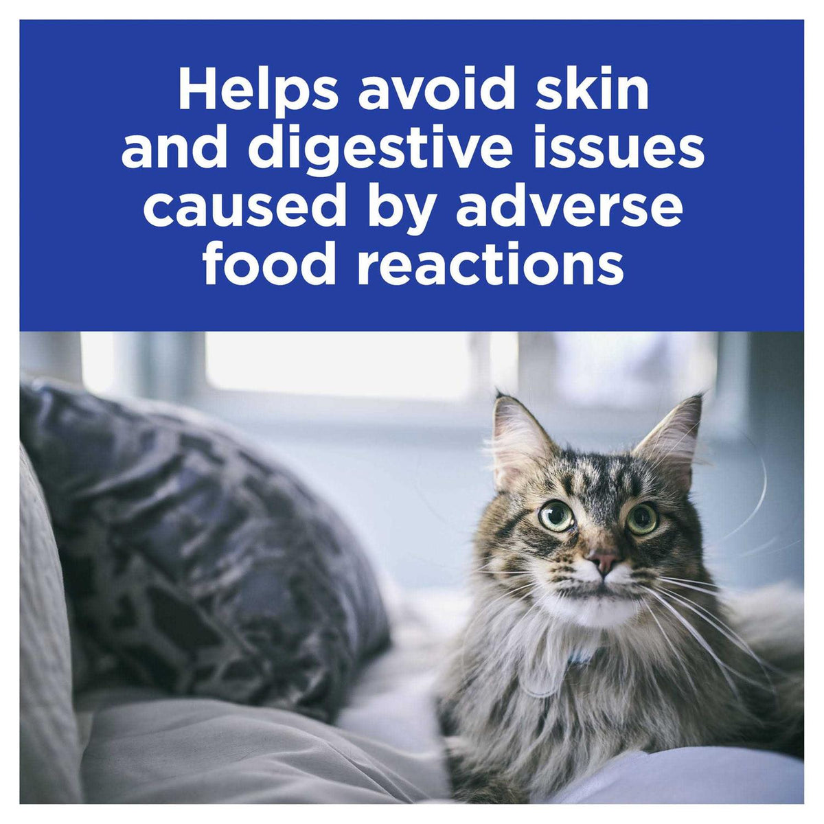 Skin/Food Sensitivities Cat Food Y652