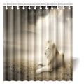 White Fabric Shower Curtain Set with Hooks, 66 X 72 Inches U104188