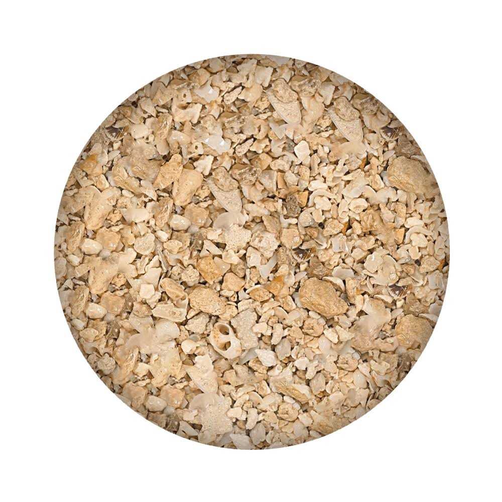 Florida Crushed Coral X2533