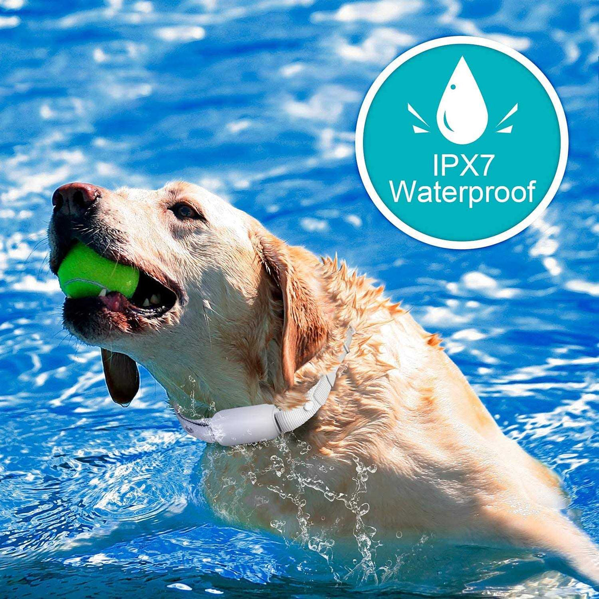 Waterproof Rechargeable Electric Dog Training Collar with Remote J91681
