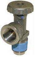 Propane Tank Valve Cap N190633