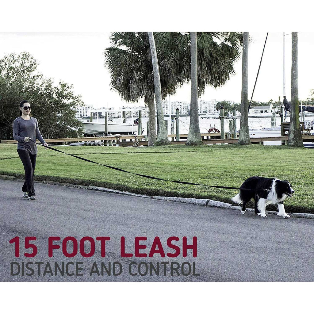 10 Foot Dog Leash with Padded Handle B923