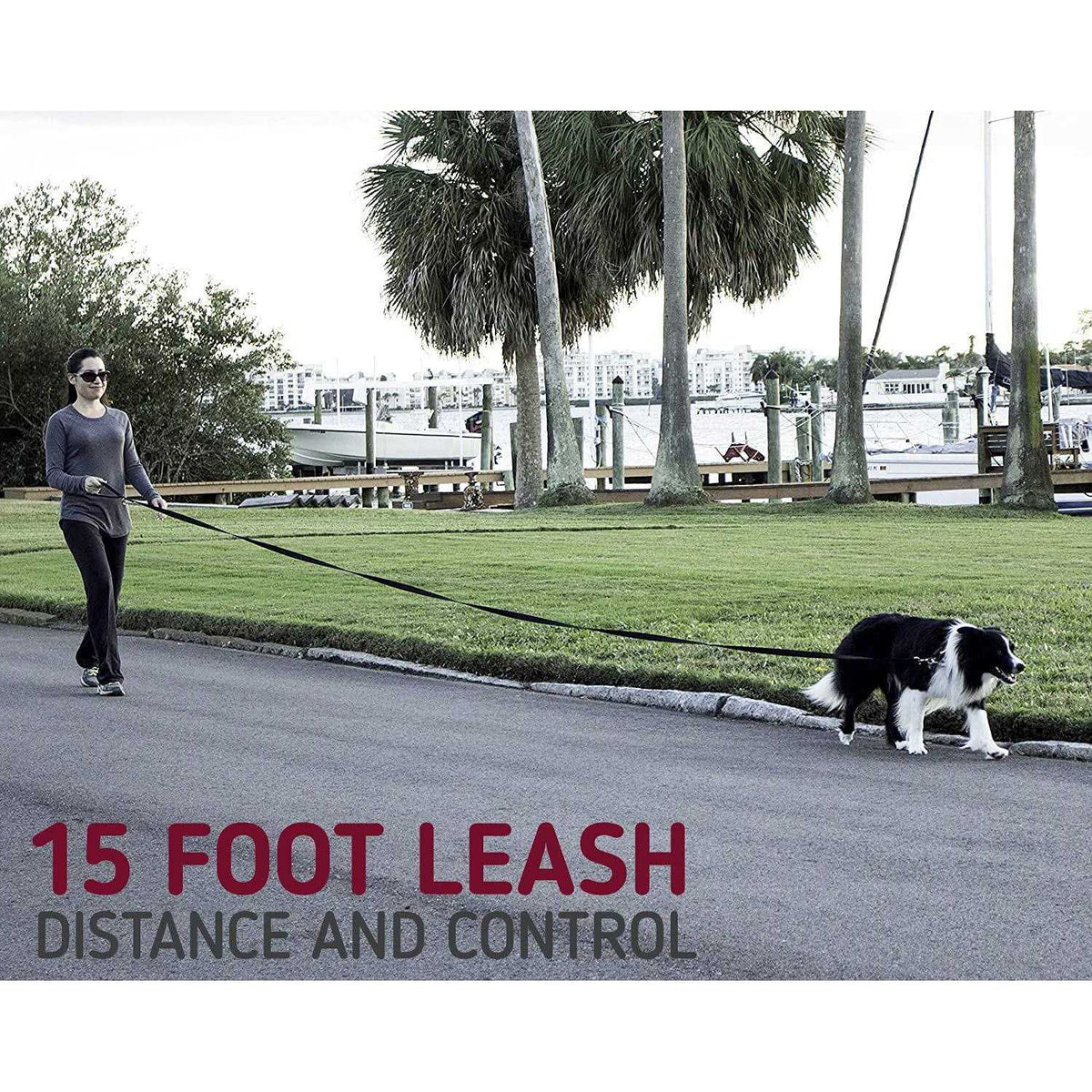 10 Foot Dog Leash with Padded Handle B923
