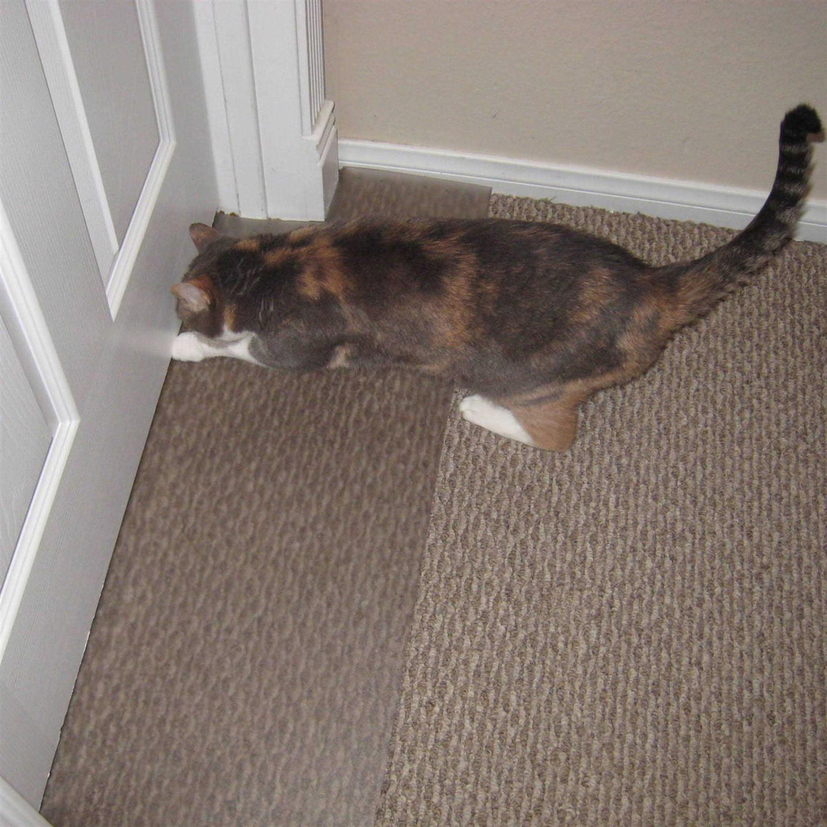 Carpet Scratch Stopper T244