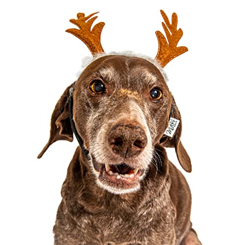 Dog Headband F130