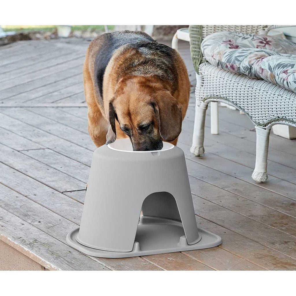 Double High Pet Feeding System A192474