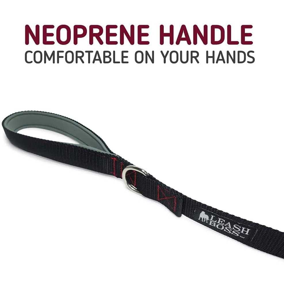 10 Foot Dog Leash with Padded Handle B923