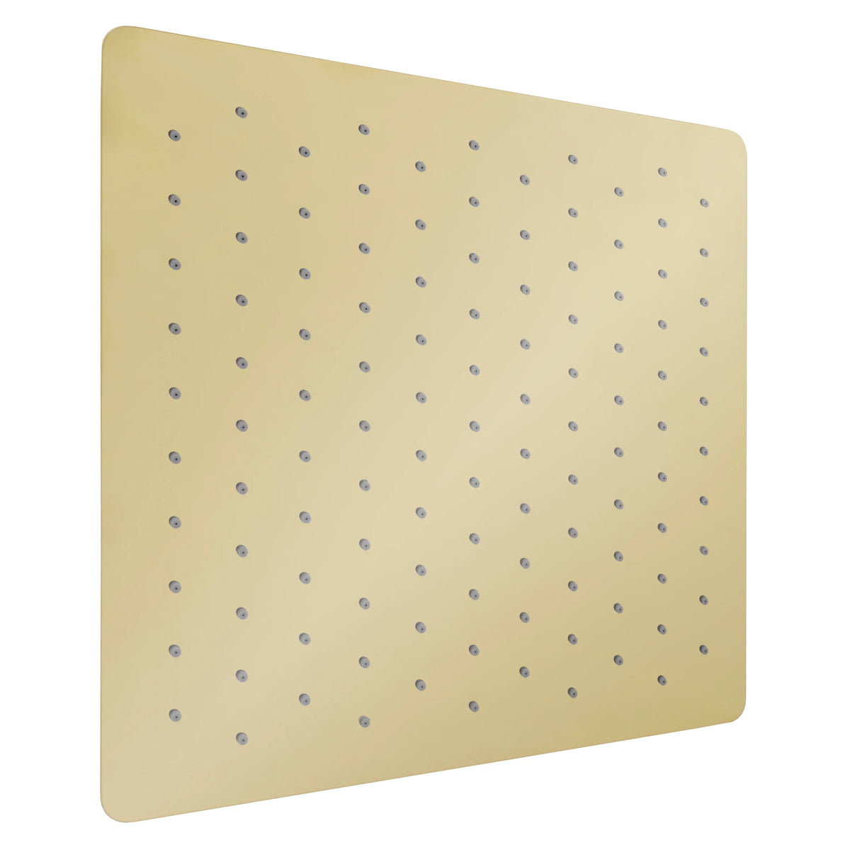Polished Gold Shower Head S913708