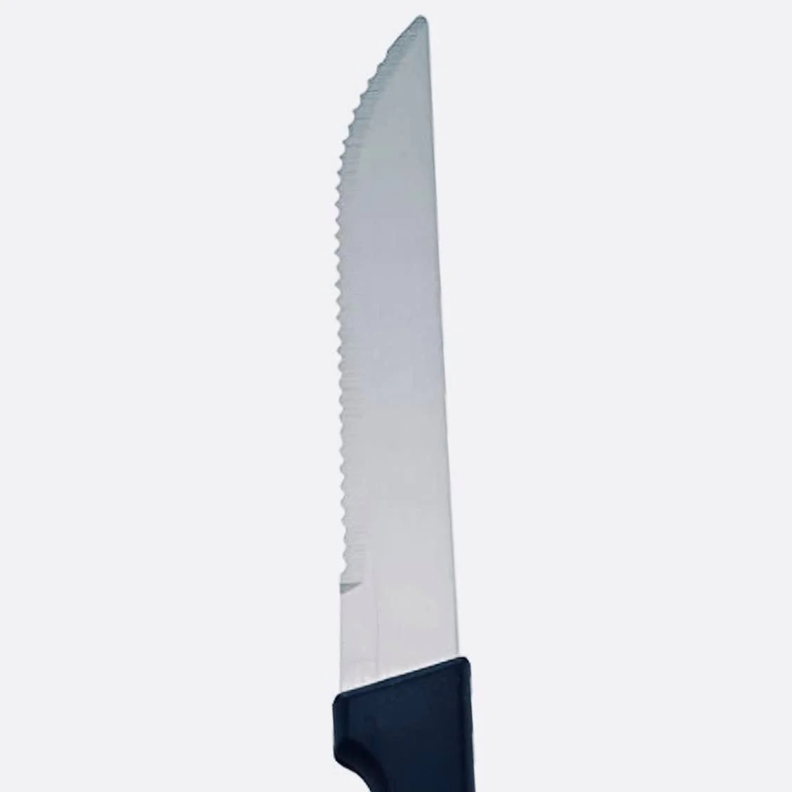 5-Inch Stainless Steel Steak Knives C742884