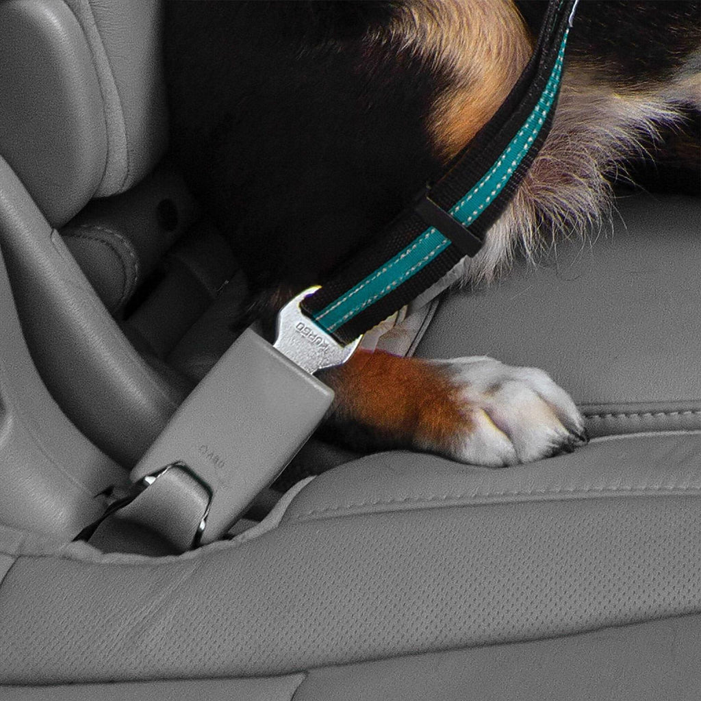 Pet Tether N387