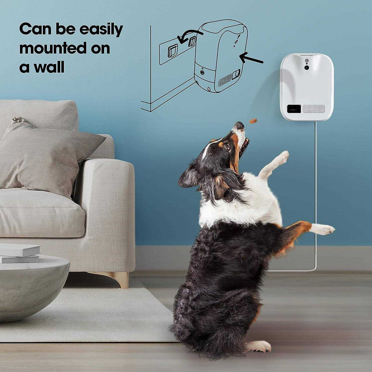 1080p Pet Camera and Treat Dispenser with Motion Activation R911