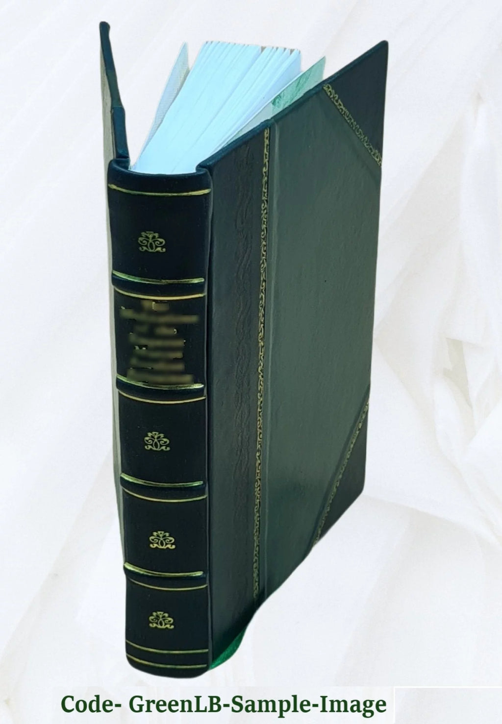 Historia jeneral de Chile pte. 3 Leather Bound L964971