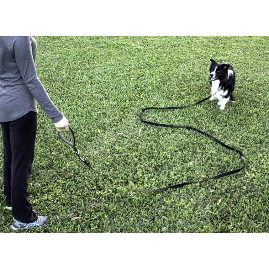 10 Foot Dog Leash with Padded Handle B923